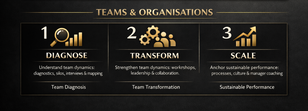 Programmes De Leadership En Trois étapes